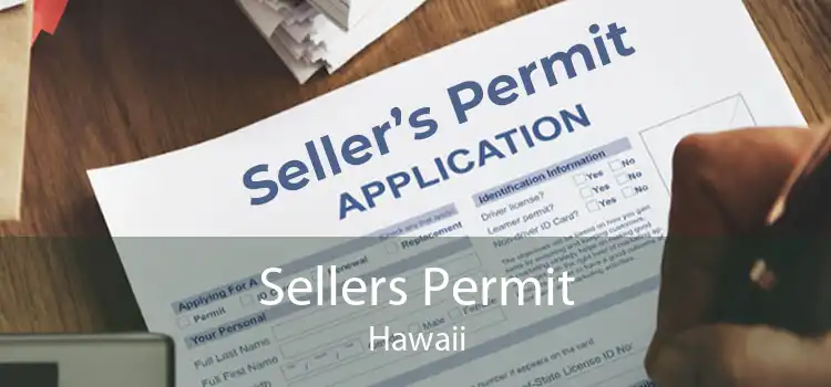 Sellers Permit Hawaii